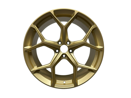 2023 RS6 Style - Matt Gold